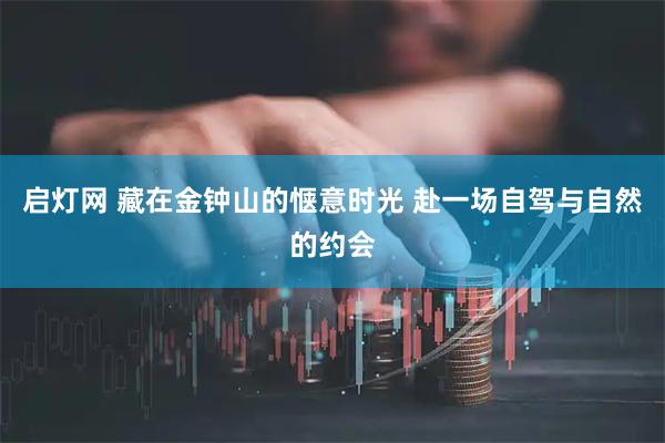 启灯网 藏在金钟山的惬意时光 赴一场自驾与自然的约会
